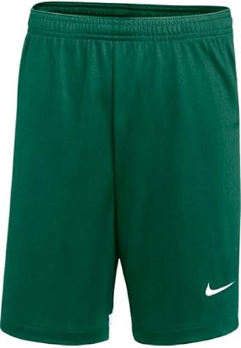 Nike Youth DRI-FIT Classic II Shorts (Large Green)